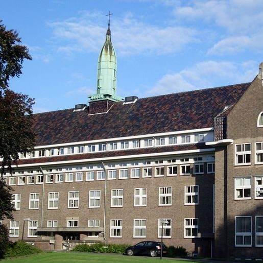 Nieuwbouw in de wijk